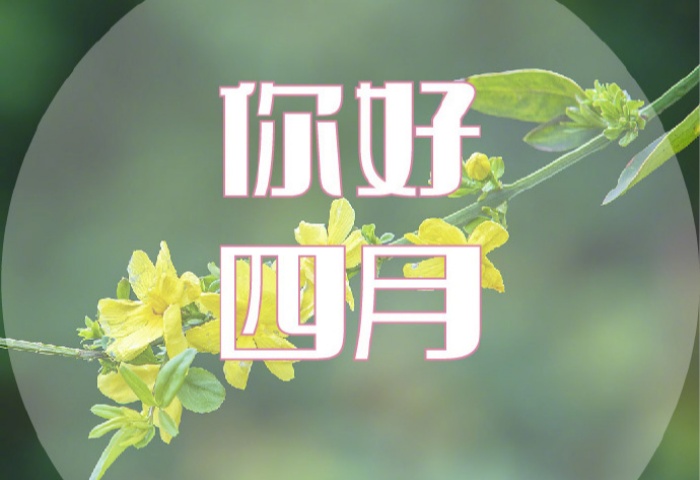 4 月裝修，錯(cuò)過等一年！青島業(yè)主必看的裝修黃金時(shí)機(jī)?